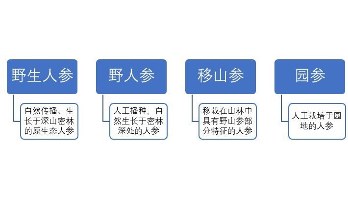 人參行業概況與區域結構分析（附報告目錄）(圖1)