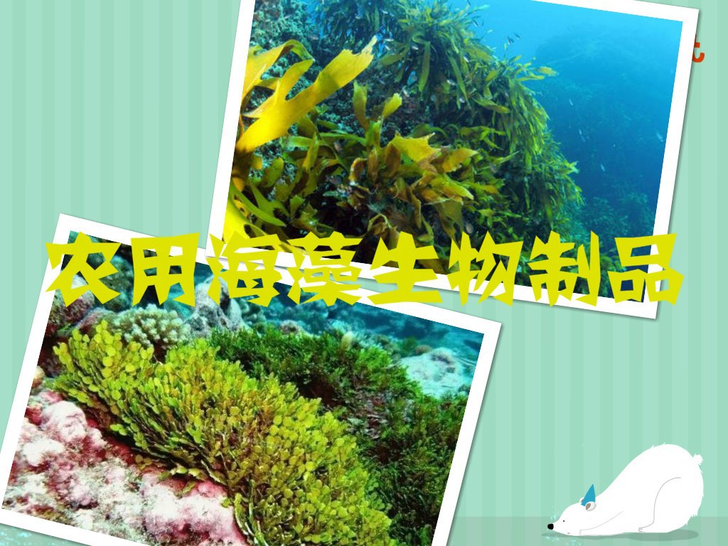 農用海藻生物制品行業發展趨勢與前景分析（附報告目錄）(圖1)
