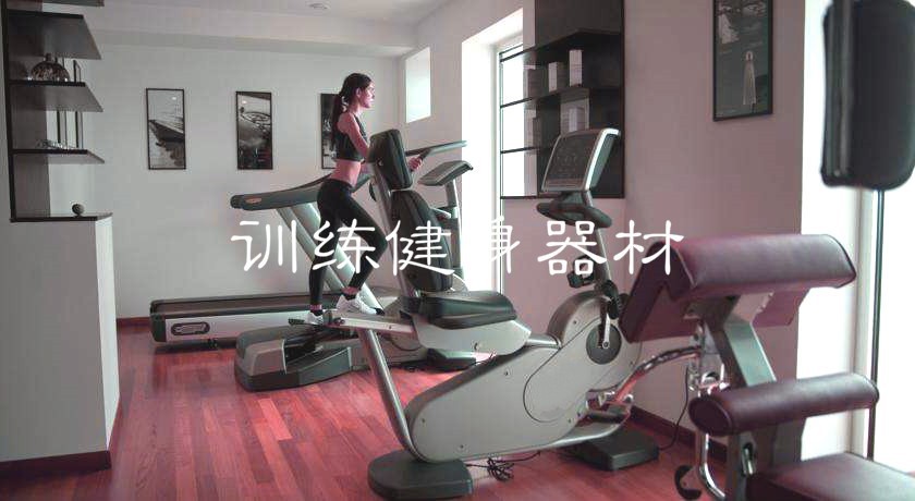 2020-2026年訓練健身器材行業市場調查研究及發展前景預測報告(圖1)