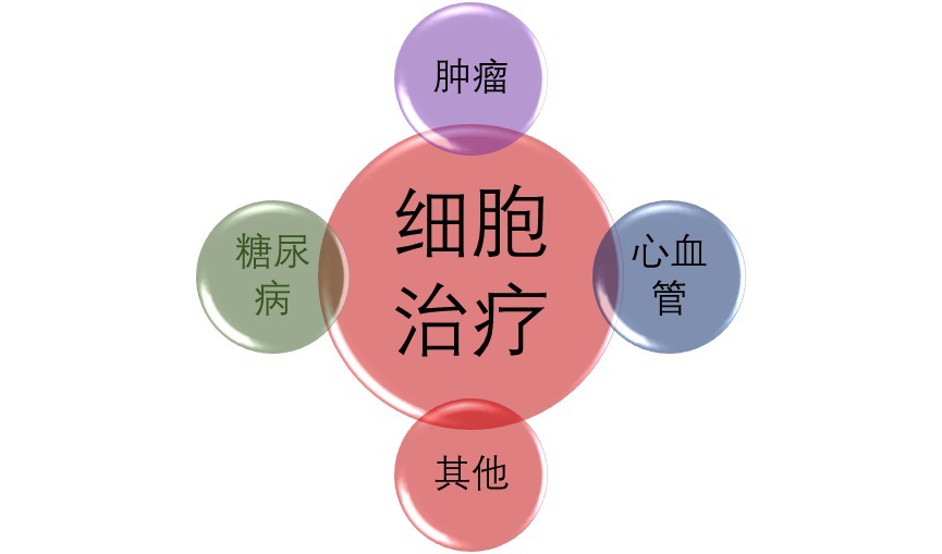 2020-2026年細胞治療行業深度調研及投資前景預測報告(圖1)