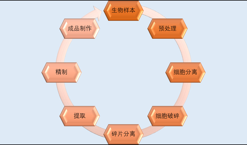 2020-2026年中國生物科學儀器行業投資前景專項報告(圖1)