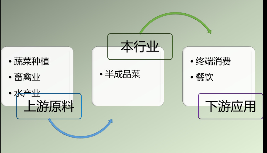 2020-2026年半成品菜行業市場調查與前景預測報告(圖1)