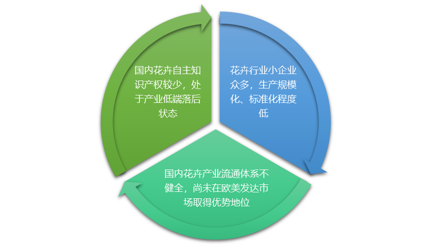 2-21042P64024504.png
