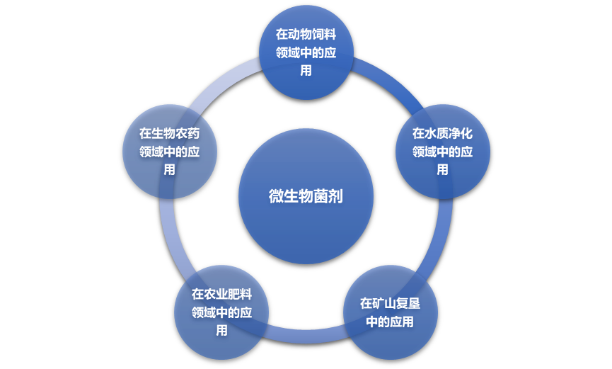 2-2106300HU9331.png