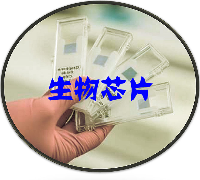 2020-2026年中國生物芯片產業鏈發展情況及投資可行性研究報告(圖1)